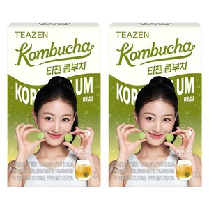 티젠 콤부차 매실, 5g, 10개입, 2개