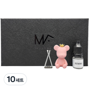엠퓨처 베어브릭 차량용 석고 방향제 피치 + 오일 5ml 세트, 10세트, 아쿠아아이스