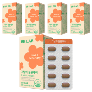 비비랩 그날의 철분케어, 60정, 5개