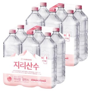 아워홈 지리산수 무라벨, 12개, 2L