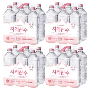 아워홈 지리산수, 24개, 2L