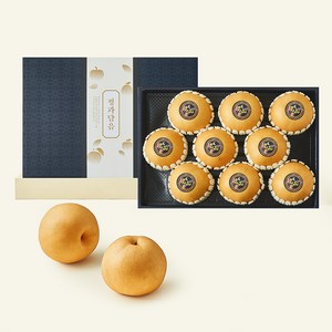 정과담음 당도선별 나주배 선물세트, 1세트, 7.5kg(8~10과) 골드박스 특가