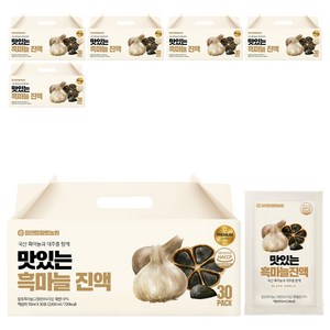참앤들황토농원 맛있는 흑마늘 진액, 70ml, 180개