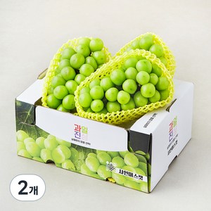 과일진심 샤인머스캣 2~4수, 2kg, 2개