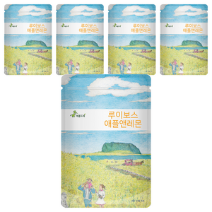 아름드레 삼각 티백 허브 차, 1.5g, 25개입, 5개