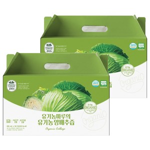 유기농마루 정품 양배추즙, 3L, 2박스