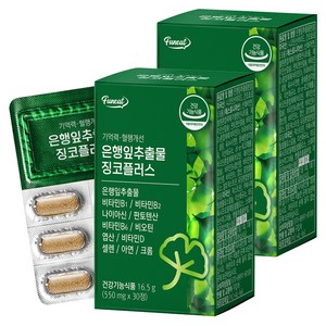 퍼니트 기억력 혈행개선 은행잎추출물 징코플러스, 30정, 2개