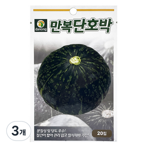 다농 만복 단호박 씨앗 20p, 3개