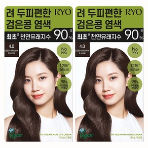려 두피편한 검은콩 염색제 120g, 4.0 딥브라운, 2개