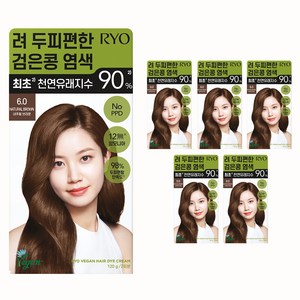 려 두피편한 검은콩 염색제 120g, 6.0 브라운, 6개