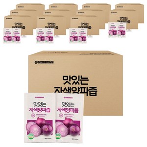 참앤들황토농원 국내산 맛있는 자색양파즙, 100ml, 600개
