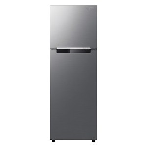 삼성전자 일반 255L 2도어 냉장고, RT25DARAHS9