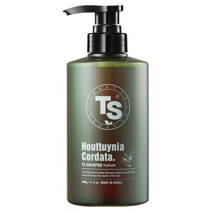 TS 어성초 탈모증상완화 샴푸, 500g, 1개