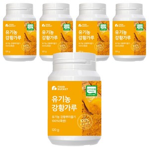 푸드버킷 유기농 강황가루 100%, 5개, 120g