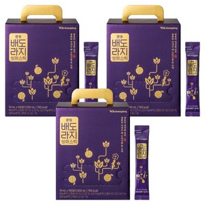 광동 배도라지 쌍화 스틱, 10ml, 300개