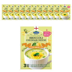 폰타나 잉글랜드 브로콜리 체다치즈 수프, 60g, 12개