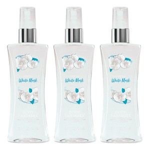 바디판타지 프레시 화이트 머스크 프래그런스 바디 스프레이, 94ml, 3개