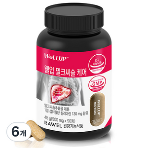 웰업 로엘 밀크씨슬 케어 45g, 6개, 90정