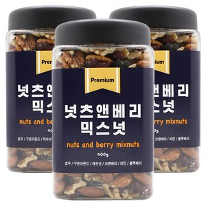 애드웰스 넛츠앤베리 믹스넛, 400g, 3개