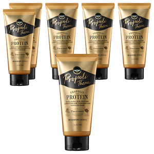 엘라스틴 프로폴리테라 손상 모발용 헤어트리트먼트, 300ml, 6개