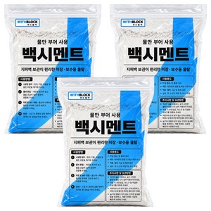위드블럭 물만 부어 사용하는 백시멘트 1.5kg, 3개