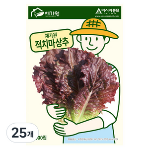 아시아종묘 씨앗 상추 채가원 적치마 1000립, 25개