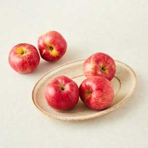 곰곰 농협 충북 홍로 사과 소과 5~6입, 1개, 1Kg
