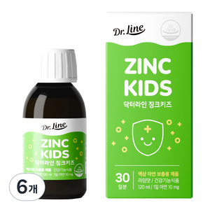 닥터라인 징크키즈 액상 아연 라임맛, 120ml, 6개