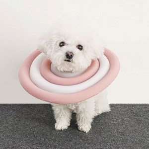 딩동펫 반려동물 초경량 넥카라, 핑크, 1개