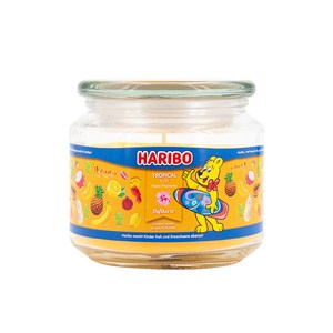 하리보 캔들 자캔들 중, 트로피칼펀, 300g, 1개
