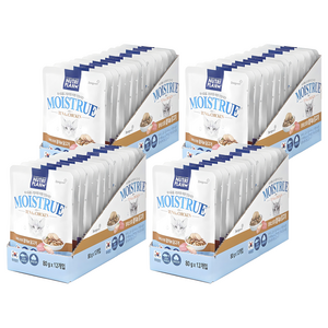 동원뉴트리플랜 고양이 모이스트루 습식 간식, 혼합맛(참치/닭고기), 80g, 48개