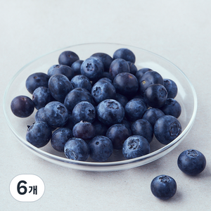 H&B아시아 칠레산 블루베리, 6개, 310g