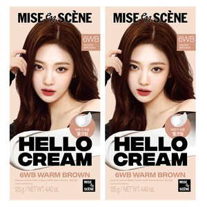 미쟝센 뉴 헬로크림 일반염모제, 웜브라운, 2개