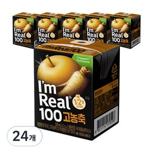 풀무원 아임리얼 100 고농축 배도라지, 120ml, 24개