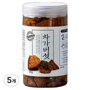 차가버섯 원통, 5개, 120g