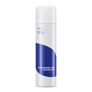 이즈앤트리 히아루론산 워터 미스트, 100ml, 1개