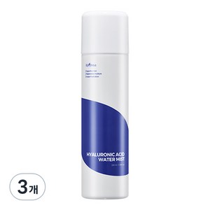 이즈앤트리 히아루론산 워터 미스트, 100ml, 3개