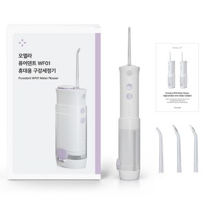 오엘라 퓨어덴트 휴대용 구강세정기, 라벤더 그레이, WFO1-LY660