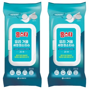 홈스타 유리 거울 세정 청소 티슈 20p, 2개