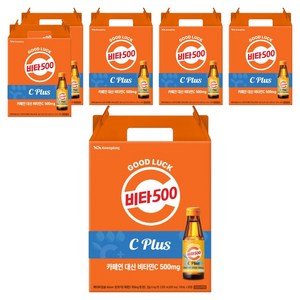 비타500 C PLUS, 100ml, 120개