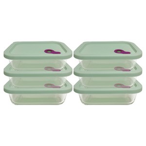 파미레 실리콘 오븐 글라스 밀폐용기 라지 직사각, 6개, 630ml