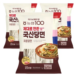농협100 제대로 만든 자른당면, 300g, 3개