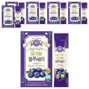 홀베리 통째로 갈아만든 유기농 블루베리, 20g, 84개