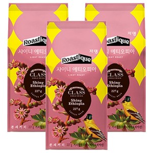 쟈뎅 클래스 샤이니 에티오피아 싱글오리진 원두커피, 분쇄, 227g, 3개