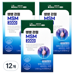이너랩 쌩쌩 관절 MSM 2000, 60정, 12개