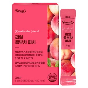 퍼니트 리얼 콤부차 피치맛, 150g, 1개