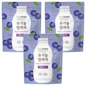 상하목장 유기농 쌀과자, 블루베리, 30g, 3개