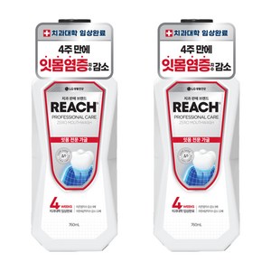 리치 프로페셔널 잇몸 전문 제로 구강청결제, 760ml, 2개