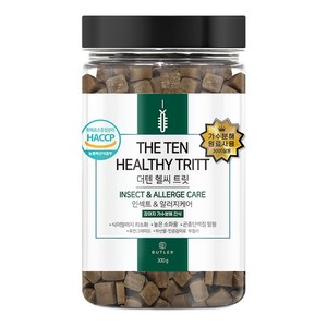 더텐소프트 강아지 헬씨 트릿, 인섹트, 300g, 1개
