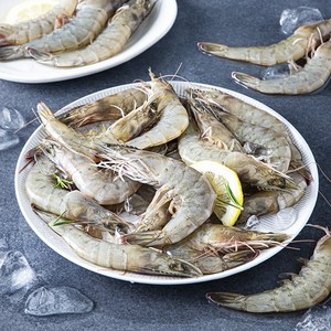 어부심 산지직송 산채로 포장한 생물새우, 1kg(40~45미), 1개 골드박스 특가